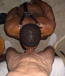black blows white 5792aa6f45b8a.jpg