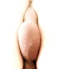 sex mix 579e90336f035.jpg