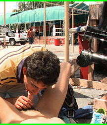 sunshine sucking 57a35fec0b2ae.jpg