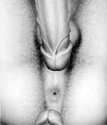 art studies 57a376a44be33.jpg