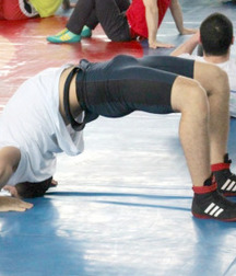 bulging grapplers 57a376f247f8c.jpg