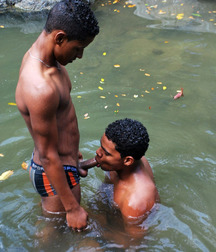 fellatio bros 57a4a6051463e.jpg