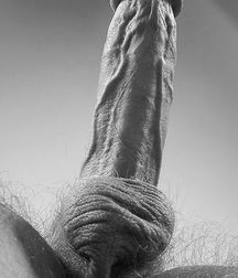 erection section 2 57a5ee940d12d.jpg
