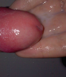 breakfast of champions 57a91544547f6.jpg