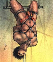the art of bondage