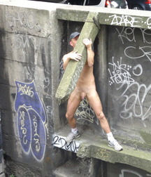 shaven in sunshine 59fa6b6b9c432.jpg