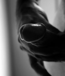 male erotica 2