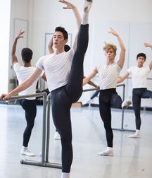 ballet bulgers 5a71219da765c.jpg