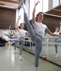 ballet bulgers 5a7121b05314e.jpg