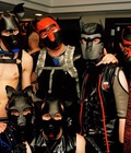 puppy power 5a84d8df28ebd.jpg