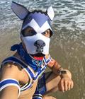 puppy power 5a84d8e32dea1.jpg