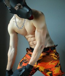 humpday overload 5aa01843a1232.jpg