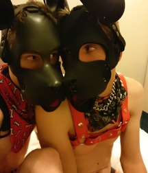 puppy love 5aa03e07c0792.jpg
