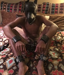 puppy love 5aa03e12d45e7.jpg