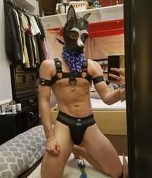 puppy love 5aa03e181d9c5.jpg