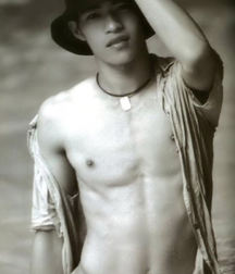 shirtless wonders 7 5ac95f2c31d5b.jpg