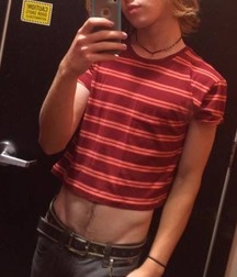 crop top twinkies 5acb8cc11d93a.jpg