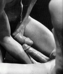 humpday pics 2 5ace1c2510f45.jpg