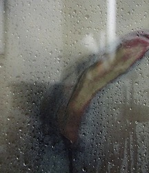 clean and lean 5acfe2067ead6.jpg