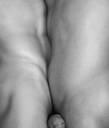 more for humpday 5ad74da265ca2.png