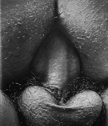 more monochrome mating 5ae2128e2e5f6.jpg