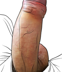 cocks in art 5ae6367054053.jpg