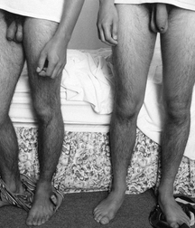humpday hotties 2 5b17eed51d16c.png