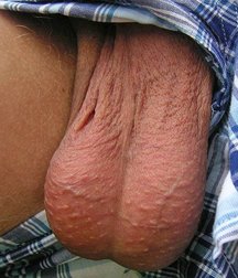 humpday pics 5b33cc0c2e2b0.jpg