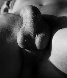 humpday pics 6 5b33ce515366a.png