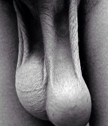 all nude 5b46306a4093a.jpg