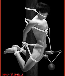 art gallery 5b6476dad67c0.jpg