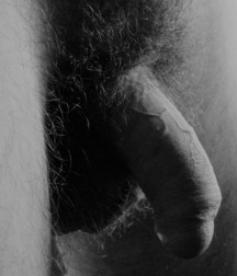 Thursday's toy boys 2 5b76080dea5f4.jpg
