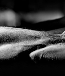 today's pics 32 5b8361901d86a.jpg