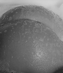 crack attack 5b880c5dc8d97.jpg