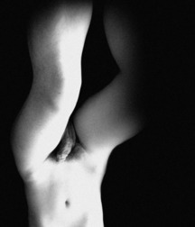 monomales 5b880d6b39a6a.jpg