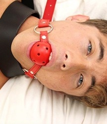 kinky twinkies 5b9bba6775812.jpg