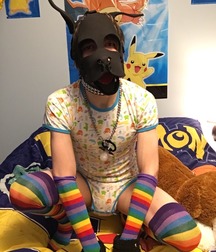 he's so cute 5b9dba5ad46e5.jpg