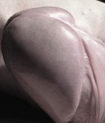 think twinks 7 5bacf62a903ea.jpg