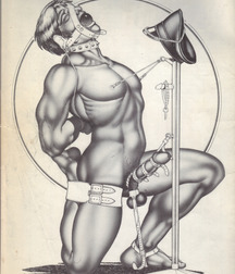 bondage barrage 5bd6523485f98.jpg