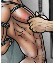 bondage barrage 5bd65267c803c.jpg