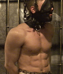 bondage barrage 5bd652c6de3ff.jpg