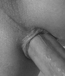 today's pics 124 5bd8566daa2db.jpg