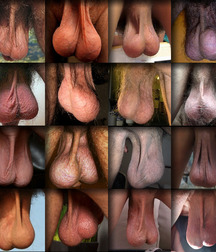 today's pics 206 5bd9e0097147a.jpg