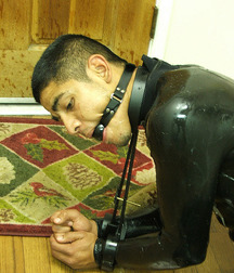 today's pics 503 5be474be307ab.jpg