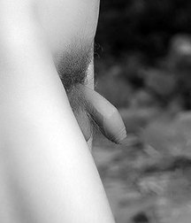 pecker pics 5bedbcecd791b.jpg
