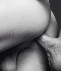 boinking boys 5bedbd43f1e2e.jpg