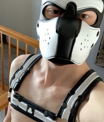 today's pics 805 5bf212c9d011f.jpg