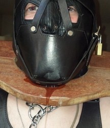twink 6 5c00182c083fd.jpg