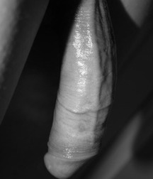 today's pics 58 5c12840bcb29a.jpg
