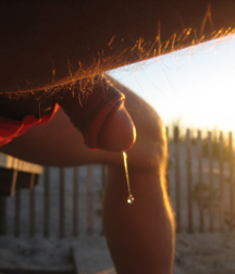 today's pics 402 5c29720874f6a.png